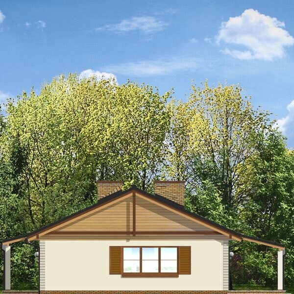 Дом 10х15 с гаражом